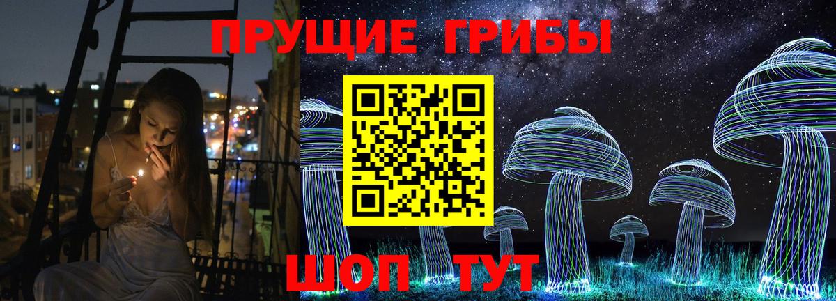 Богданович  Галлюциногенные грибы мицелий  Вход с VPN 
